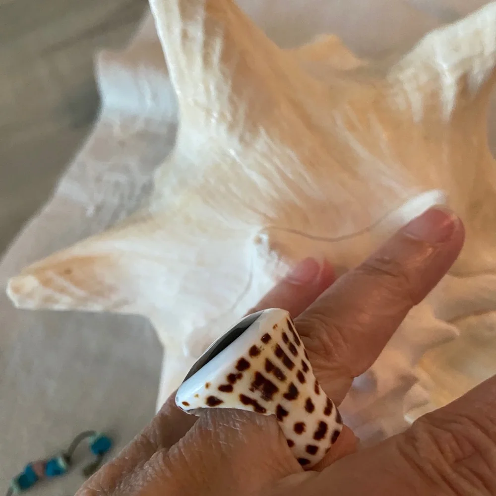 100% shell ring - Picture 3 of 3